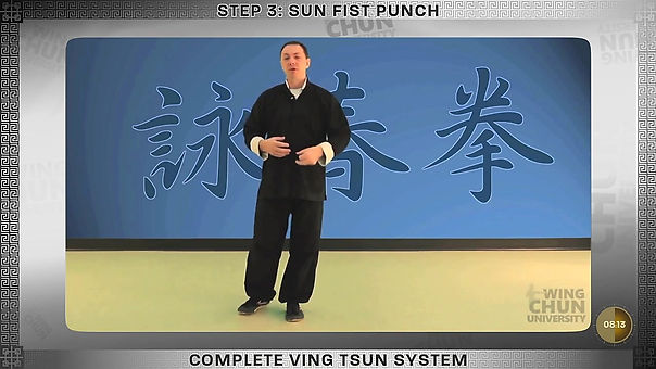 Level 1 Step 3 - Sun Punch & Striking